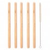 Bamboo Straw with Cleaner, Sattva, 5 pcs